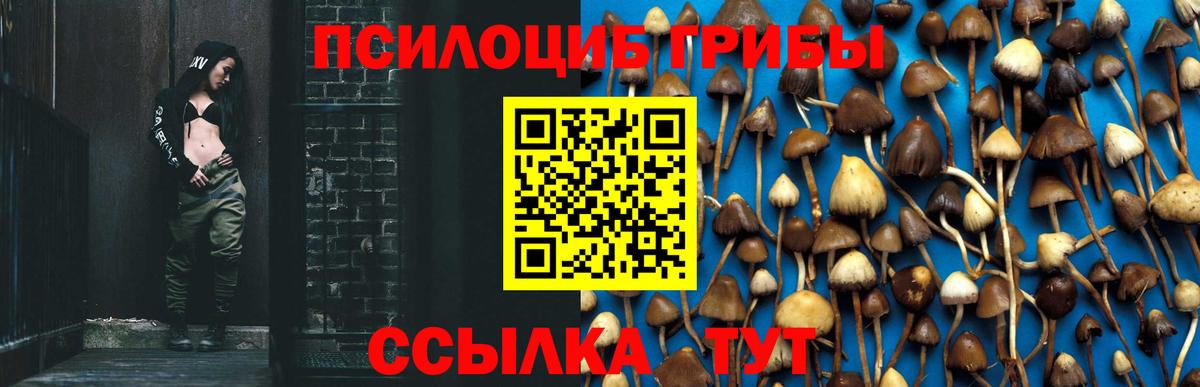 Галлюциногенные грибы MAGIC MUSHROOMS Калуга