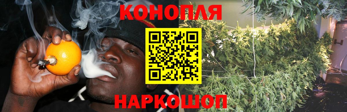 Канабис планчик Калуга